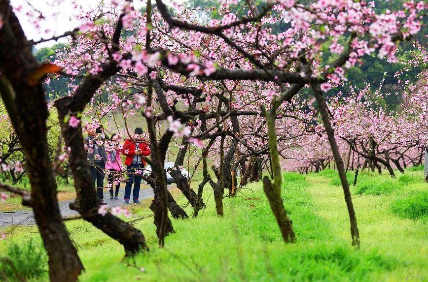 光大期货：1月23日矿钢煤焦日报
