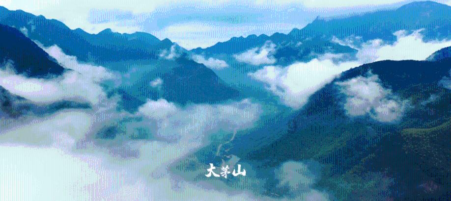 荆棘王座