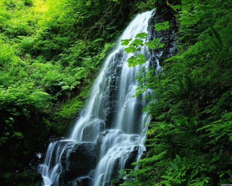 胎儿缺氧的后果这么严重，怎么才能知道胎儿有没有缺氧呢？游戏画面